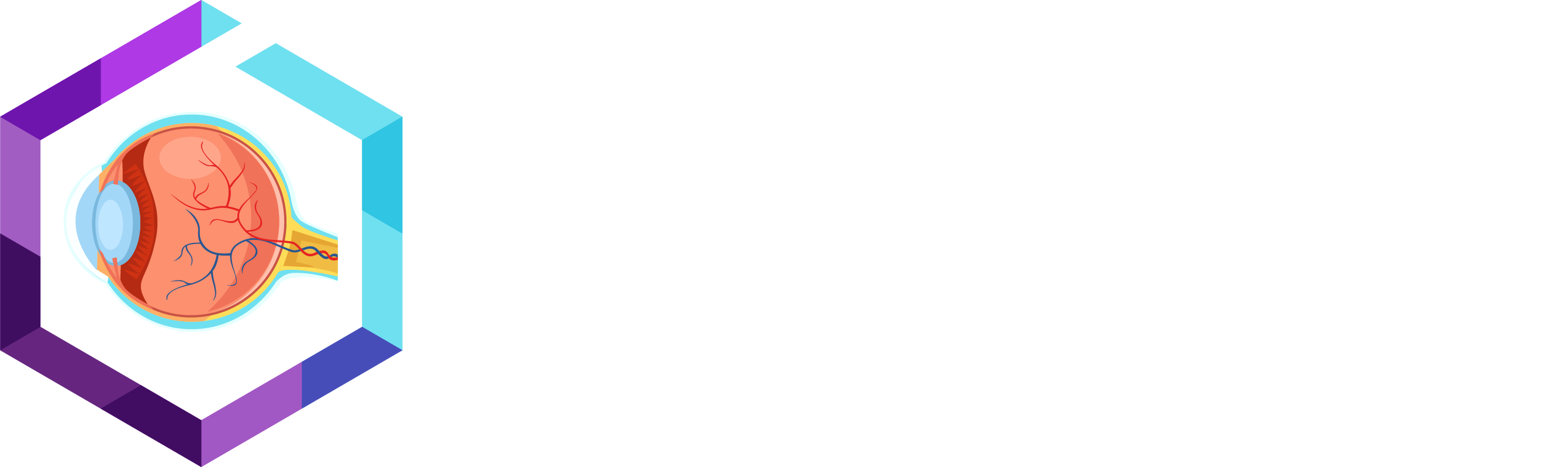 HW250806 54591 4th Ophthalmic Delivery Summit logo W (2)