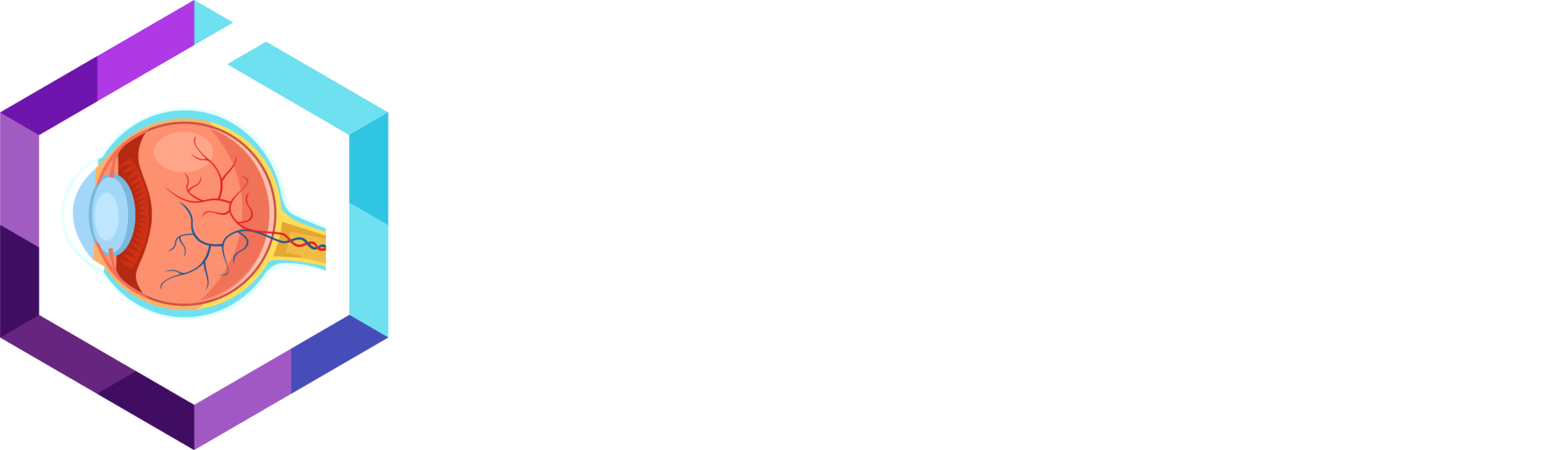 HW260730 74794 5th Ophthalmic Drug Delivery logo W (1)