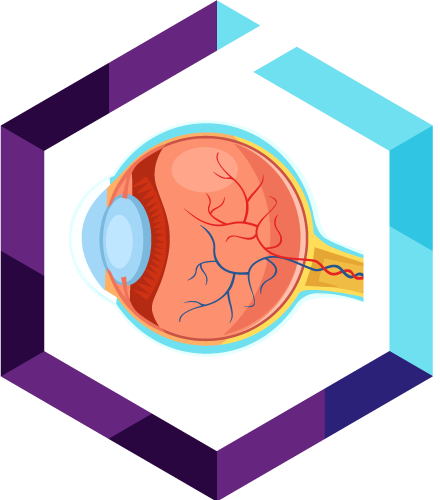 nex-gen-ophthalmic-DD FAVICON